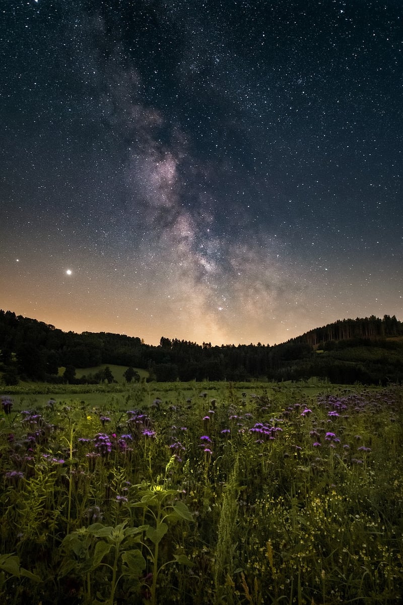 Starlight Soirees